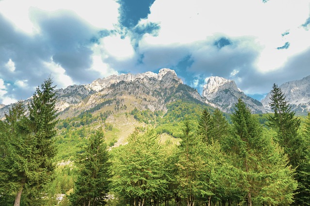 Image by Ervin Gjata from Pixabay