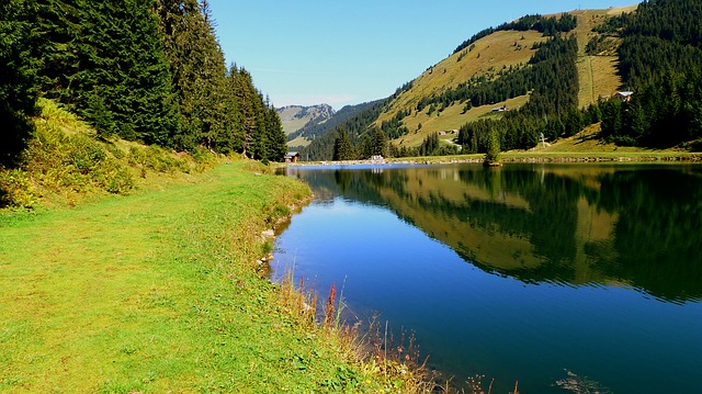 Image by RENE RAUSCHENBERGER from Pixabay