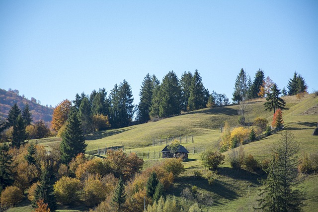 Image by rawq from Pixabay
