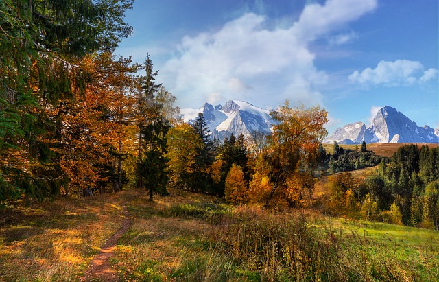 Image by Lars_Nissen_Photoart from Pixabay