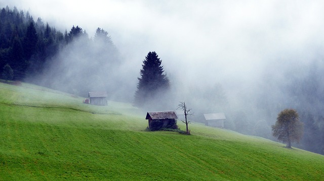 Image by RENE RAUSCHENBERGER from Pixabay