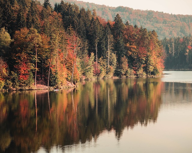 Image by sallycadore from Pixabay