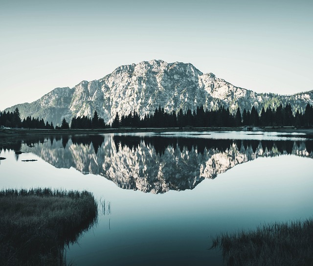 Image by sallycadore from Pixabay