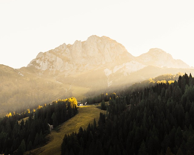 Image by sallycadore from Pixabay