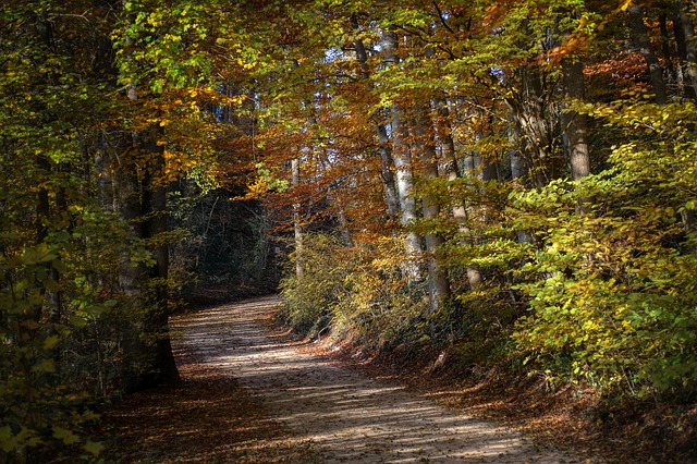 Image by Albrecht Fietz from Pixabay