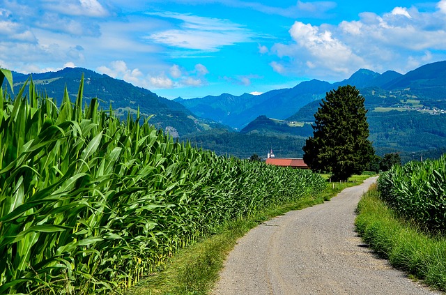 Image by Walter Sturn from Pixabay