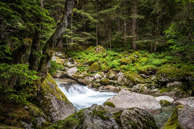 Image by stefano reverberi from Pixabay