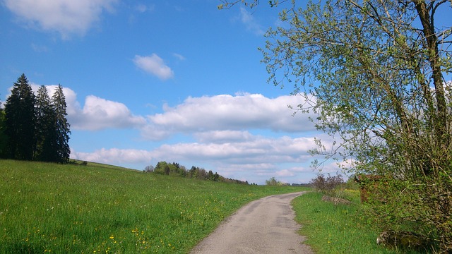 Image by Gabriele Wohlfahrt from Pixabay