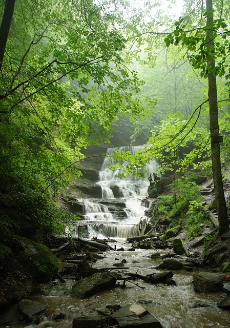 Image by Thomas Teutsch from Pixabay