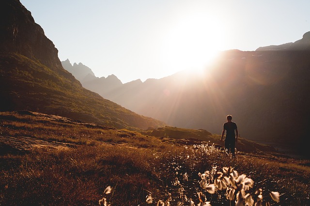 Image by Free-Photos from Pixabay