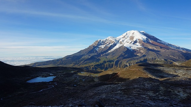 Image by Alejandro Miranda from Pixabay