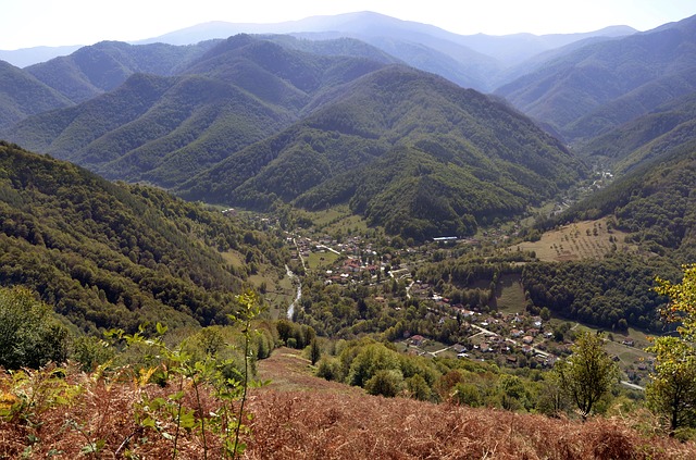 Image by Николай Начев from Pixabay