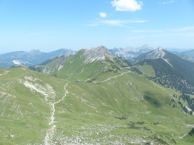 Image by Hans Braxmeier from Pixabay