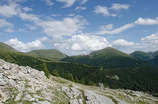 Image by der_niels from Pixabay