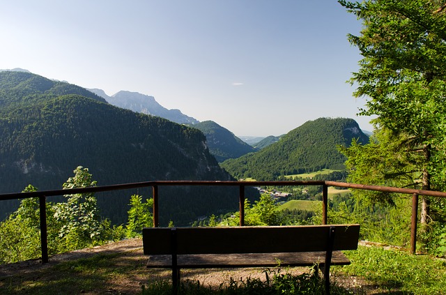 Image by Gitti Lohr from Pixabay