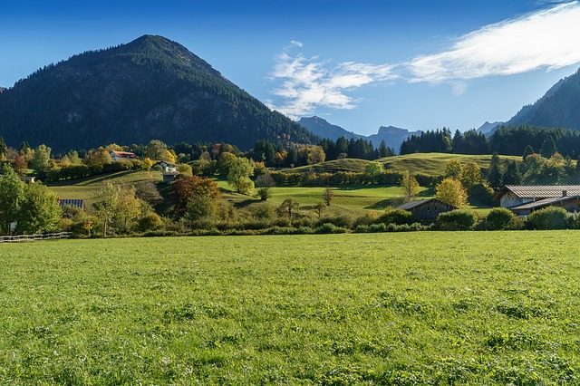 Image by Norbert Waldhausen from Pixabay