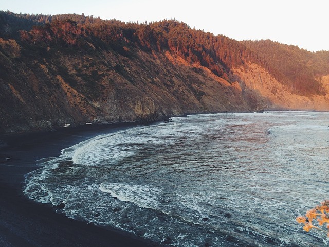 Image by Free-Photos from Pixabay