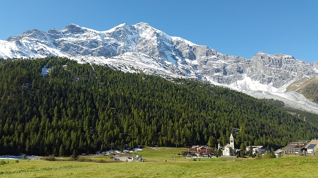 Image by Simon Steinberger from Pixabay