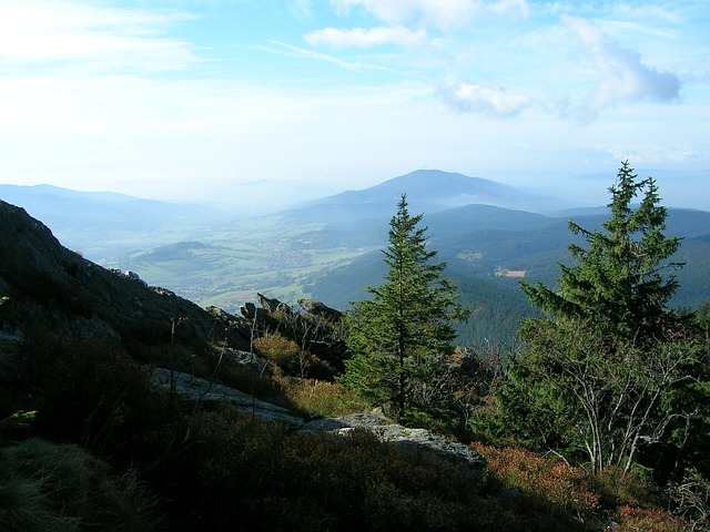 Image by Schratzl from Pixabay