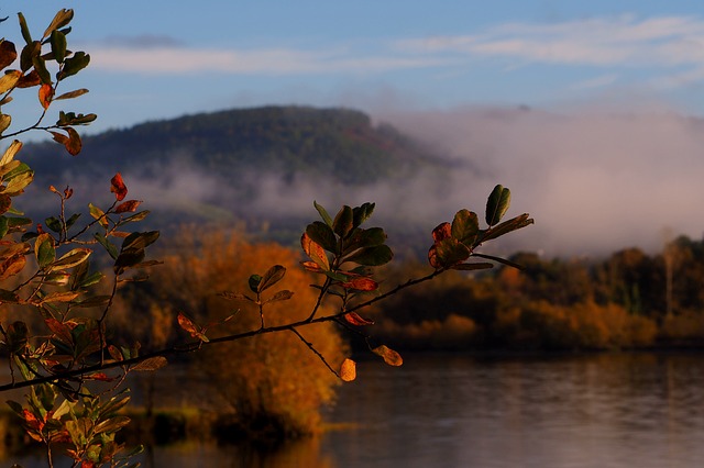 Image by Elia López G. from Pixabay