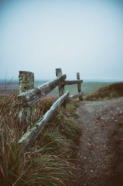 Image by Craig Melville from Pixabay