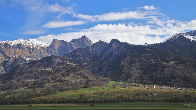 Image by pasja1000 from Pixabay