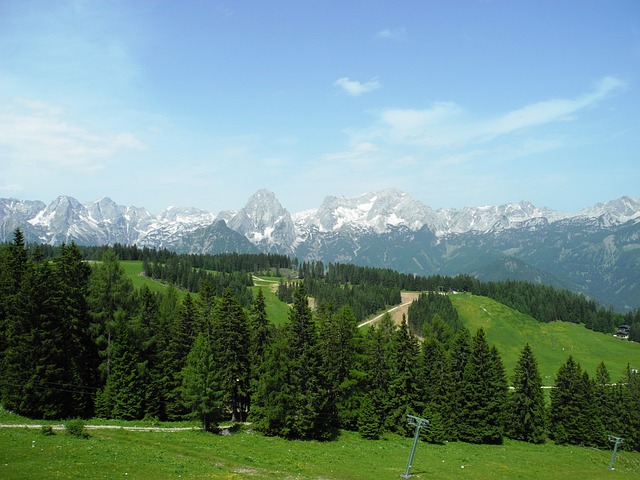 Image by alegria2014 from Pixabay