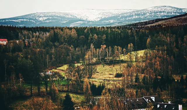 Image by jwvein from Pixabay