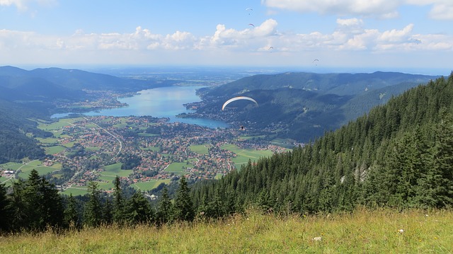 Image by Dieter_G from Pixabay