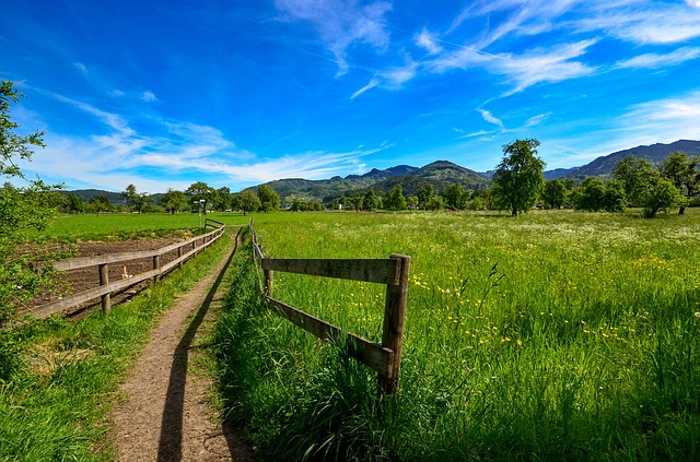 Image by Walter Sturn from Pixabay