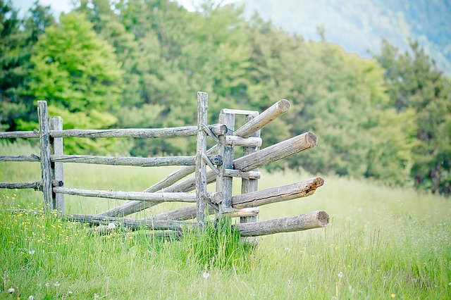 Image by TheUjulala from Pixabay