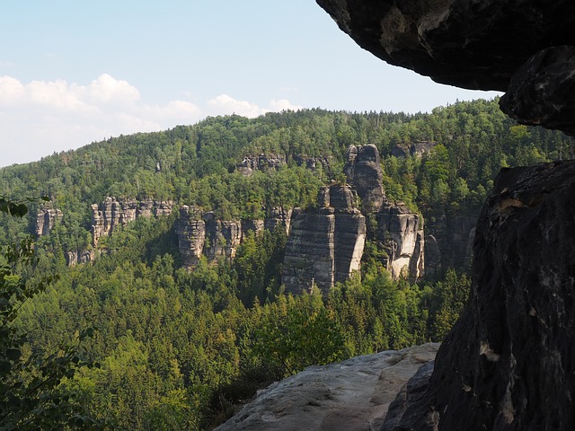 Image by Hans Braxmeier from Pixabay
