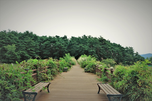 Image by 준원 서 from Pixabay