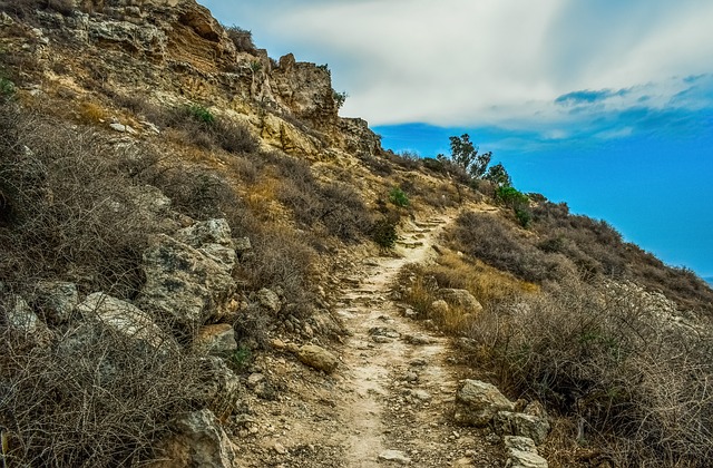 Image by Dimitris Vetsikas from Pixabay