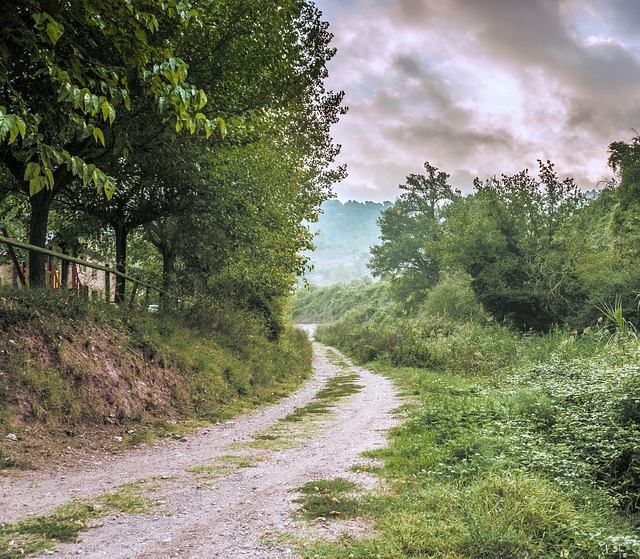 Image by Josep Monter Martinez from Pixabay