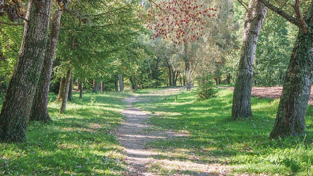 Image by Josep Monter Martinez from Pixabay