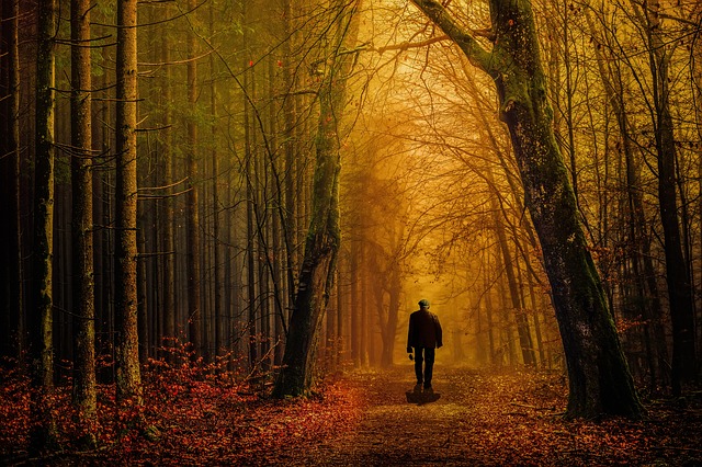 Image by Randy Rodriguez from Pixabay
