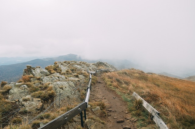 Image by Free-Photos from Pixabay