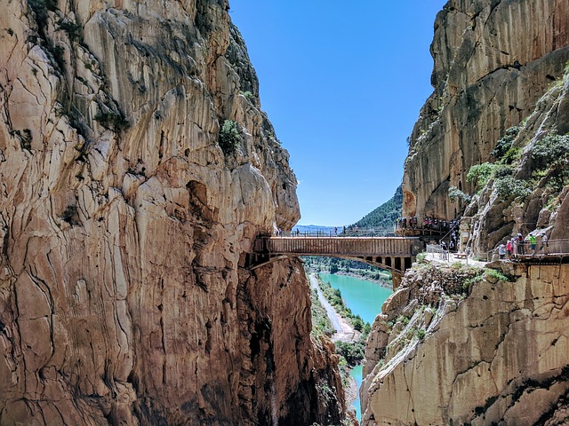 Image by alejandrocuencac from Pixabay