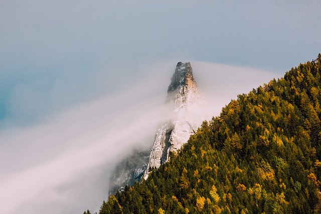 Image by Free-Photos from Pixabay