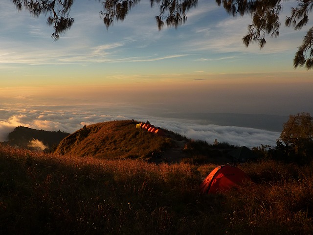 Image by Free-Photos from Pixabay