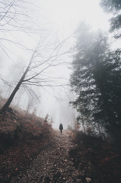 Image by StockSnap from Pixabay