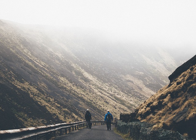 Image by StockSnap from Pixabay