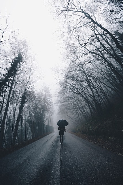 Image by StockSnap from Pixabay