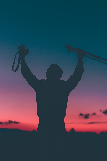 Image by StockSnap from Pixabay
