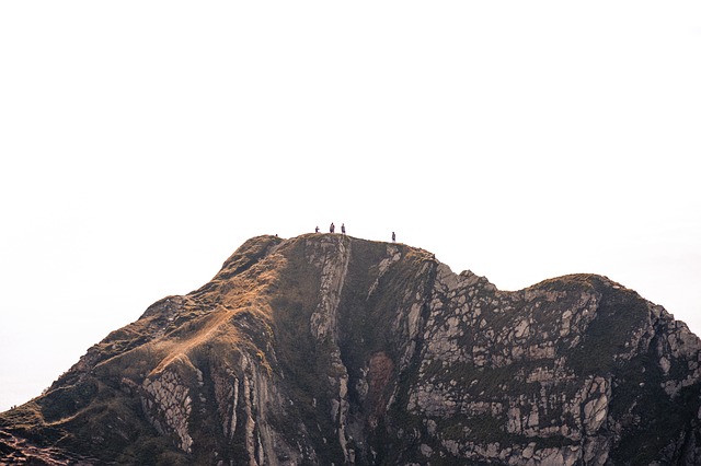 Image by StockSnap from Pixabay