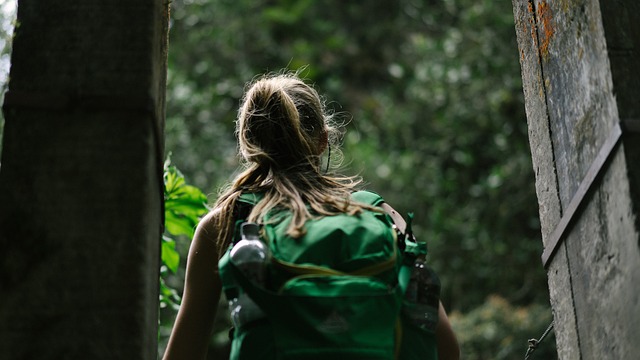 Image by StockSnap from Pixabay