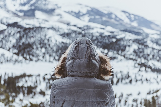 Image by StockSnap from Pixabay