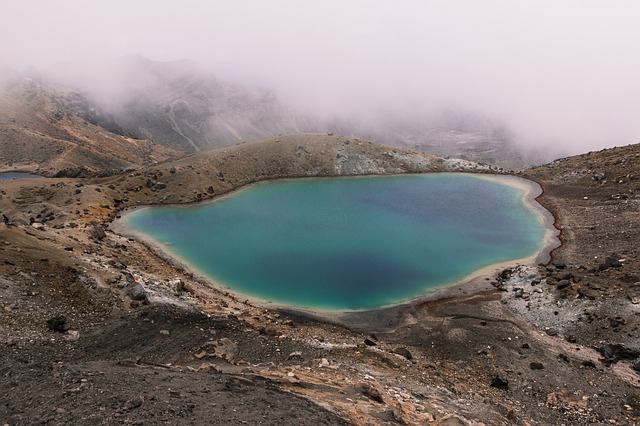 Image by StockSnap from Pixabay