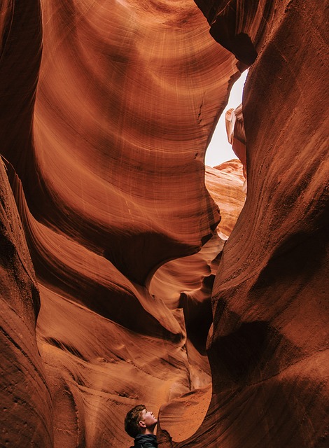 Image by StockSnap from Pixabay
